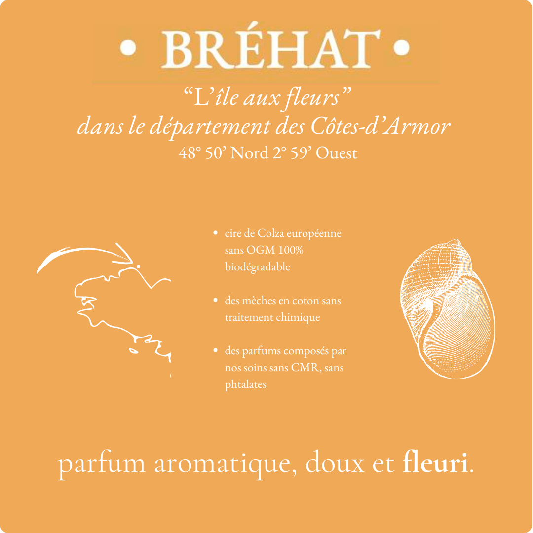 Bougie parfumée Verre Éclats de coquillages