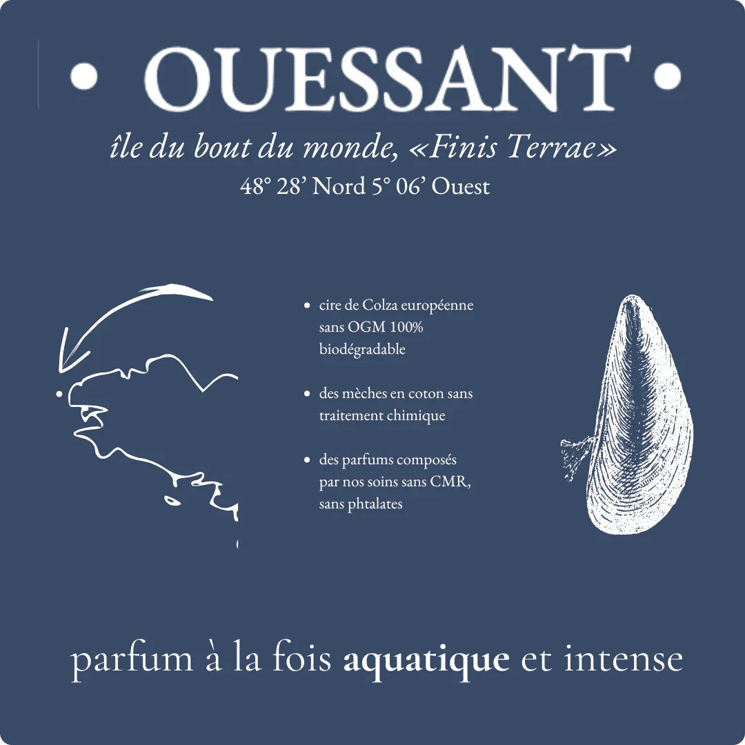 Informations sur la composition de la bougie Ouessant et son parfum aquatique et intense.