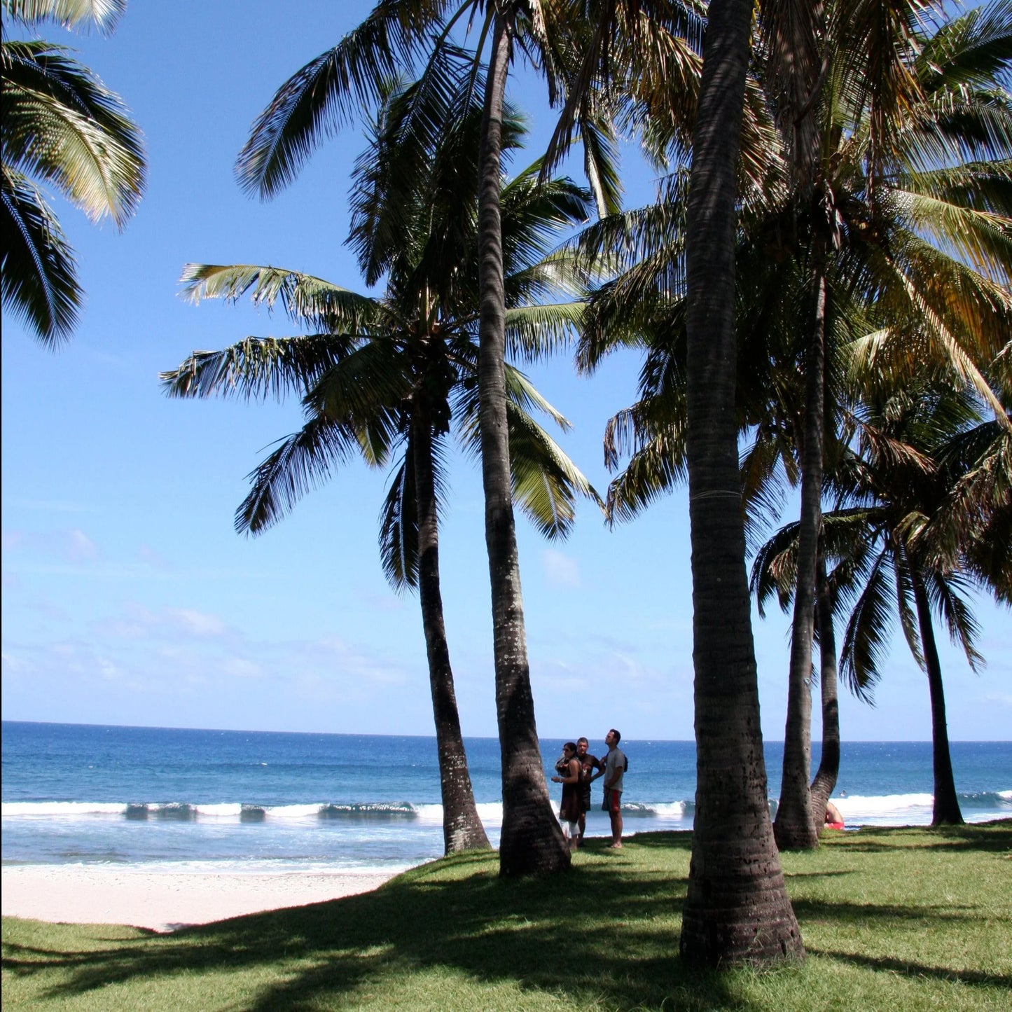 Inspiration île de beauté, La Réunion