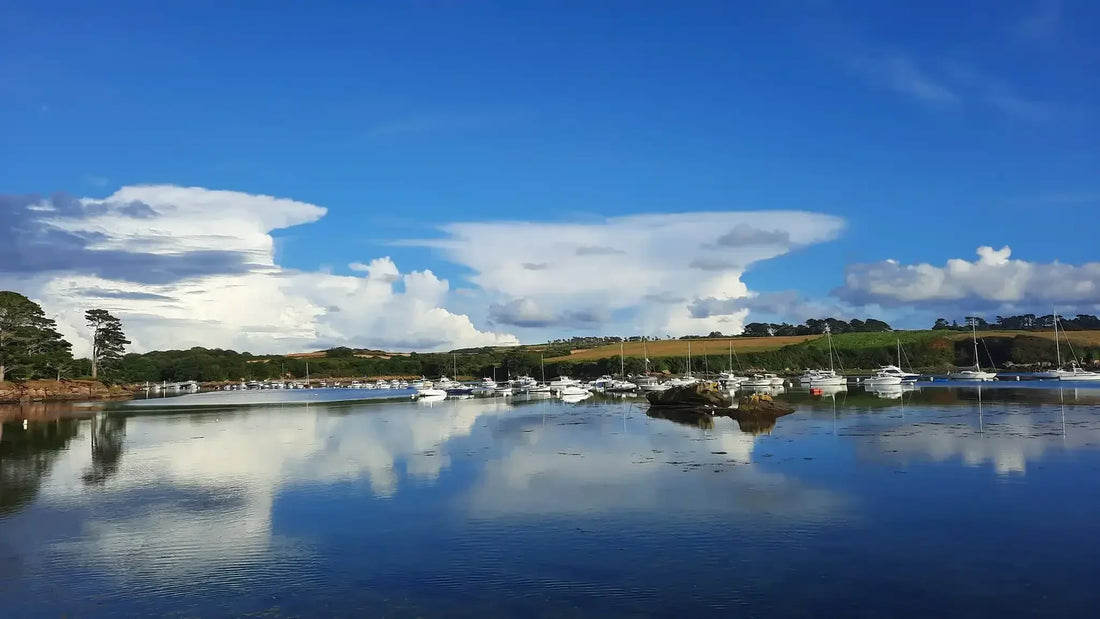 Et si le port de Lanildut devenait votre prochaine destination de balade ?